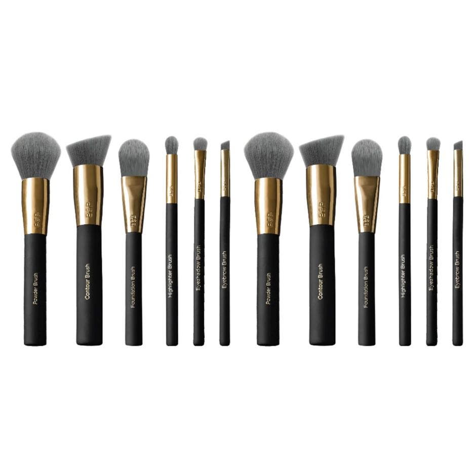 Pro Brush Essentials Kit