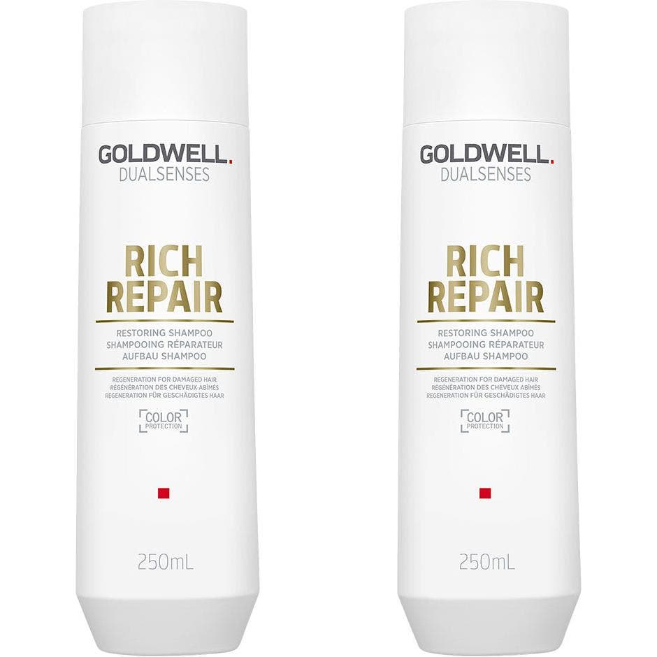 Dualsenses Rich Repair